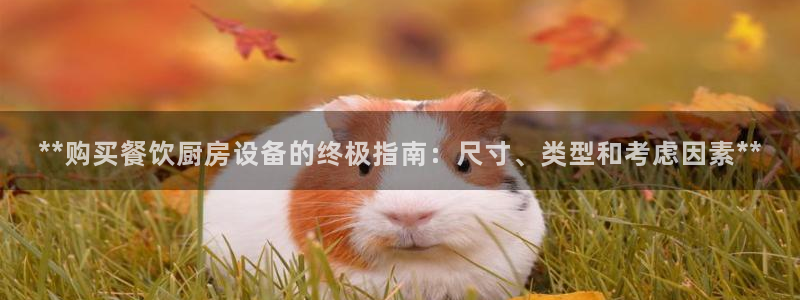 尊龙凯时提不了款：**购买餐饮厨房设备的终极指南：尺寸、类型