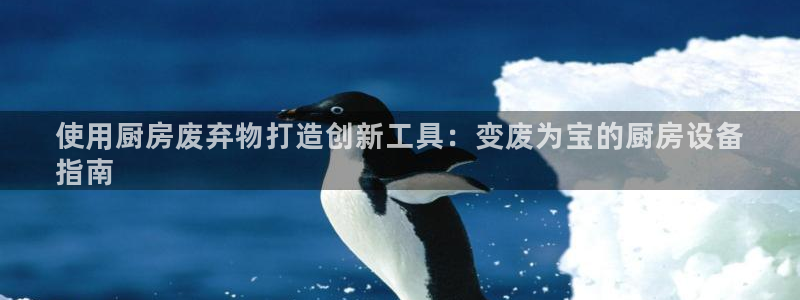 尊龙app怎么样：使用厨房废弃物打造创新工具：变废为宝的厨房
