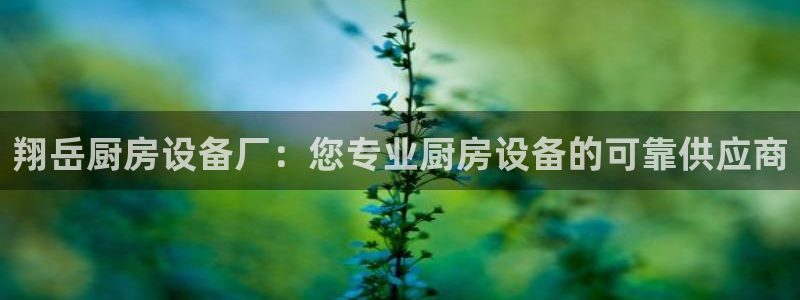尊龙凯时z6官网：翔岳厨房设备厂：您专业厨房设备的可靠供应商