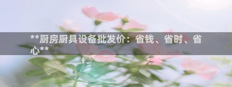 尊龙凯时 人生就是搏客服：**厨房厨具设