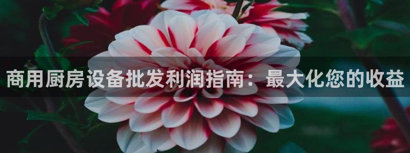 尊龙Ag：商用厨房设备批发利润指南：最大化您的收益