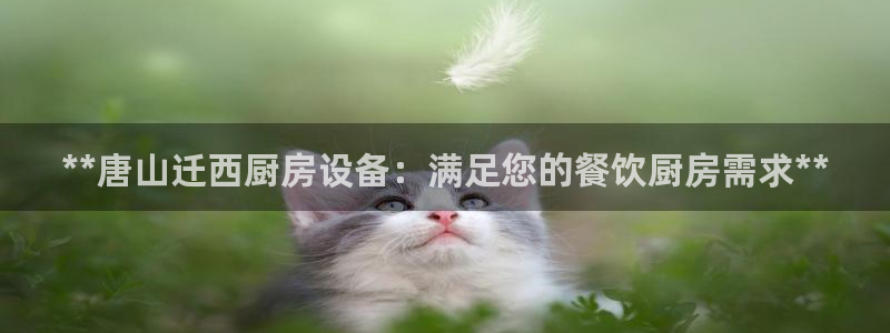 尊龙凯时z6官网
