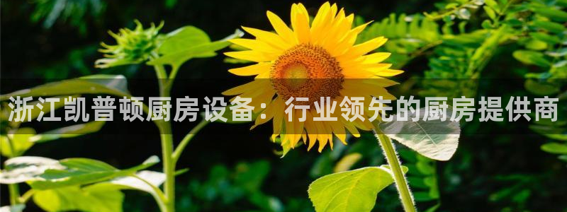 尊龙这个平台怎么样：浙江