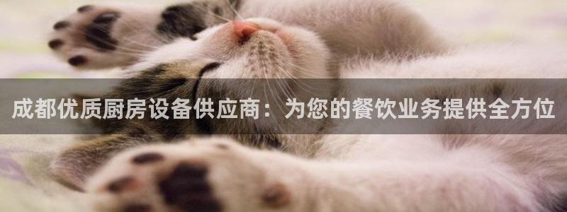 尊龙物流怎么样：成都优质