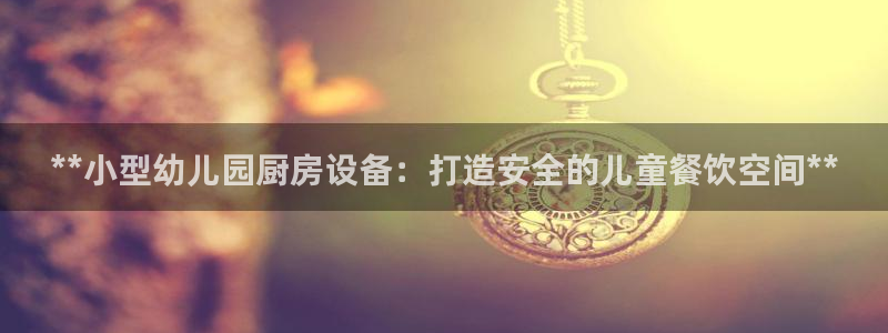 凯时平台怎么样：**小型幼儿园厨房设备：