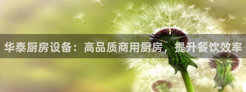 尊龙新版手机app下载：
