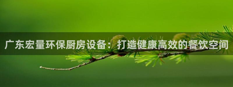 尊龙版末代皇帝：广东宏量环保厨房设备：打