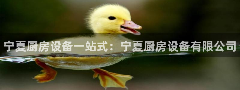尊龙实业 吴友良：宁夏厨房设备一站式：宁