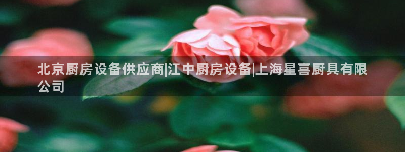 尊龙-人生就是博!