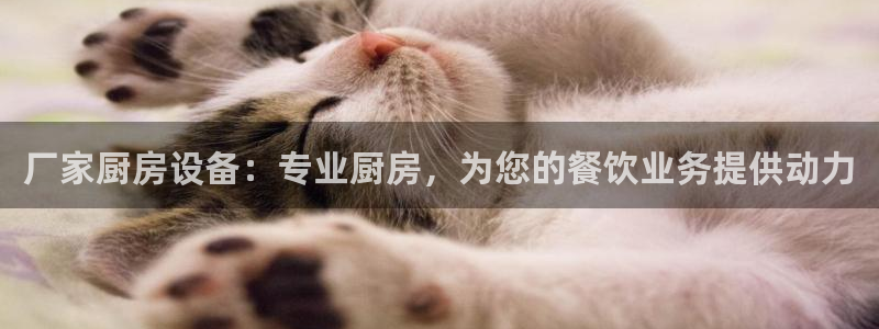 尊龙现在：厂家厨房设备：专业厨房，为您的