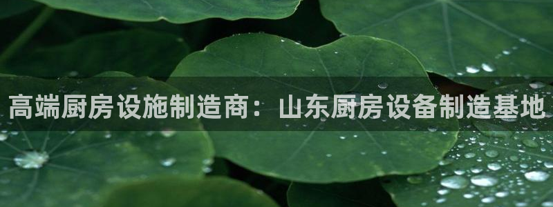 尊龙app认可ag发财网