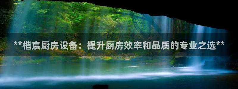 尊龙凯时人生就是搏技术实力：**楷宸厨房设备：提升厨房效率和