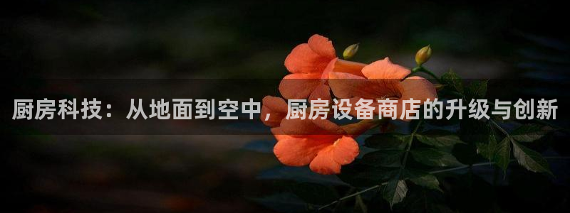 新版尊龙99
