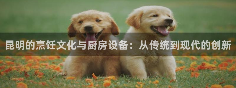 尊龙人生就是博旧版手机可靠送38元