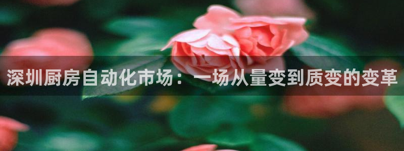 尊龙凯时平台入口