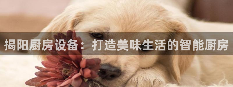 ZL尊龙凯时集团