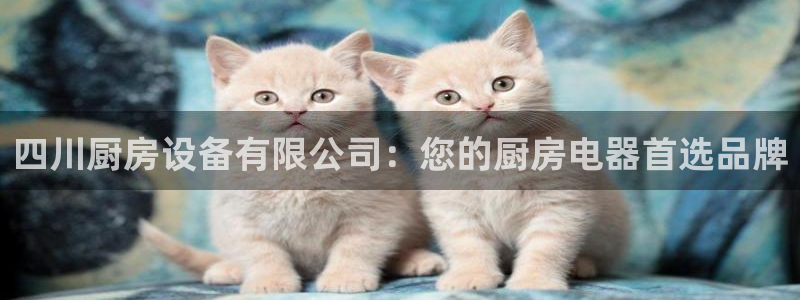 尊龙凯时人生就是搏技术实力