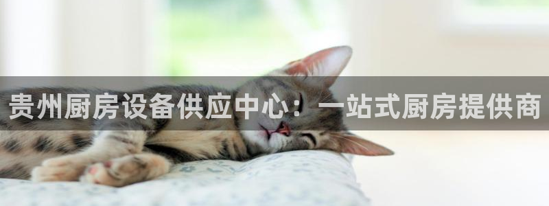 尊龙凯时-人生就是博中国官网最新