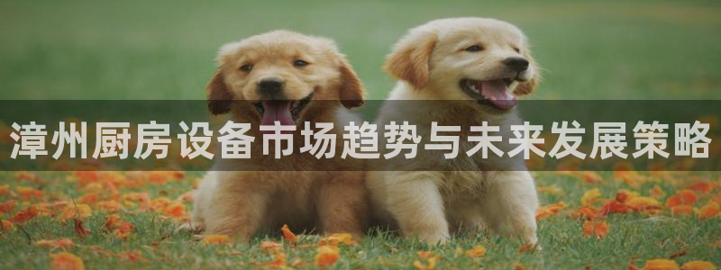 尊龙凯时网站赌愽做假吗