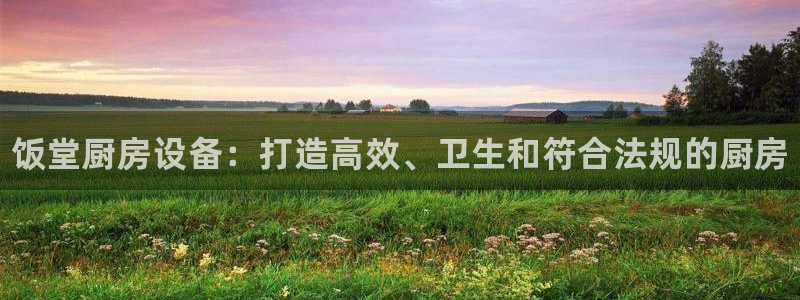 尊龙凯时代理：饭堂厨房设