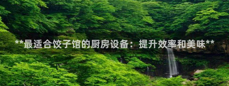 kb88凯时会员登录：**最适合饺子馆的厨房设备：提升效率和