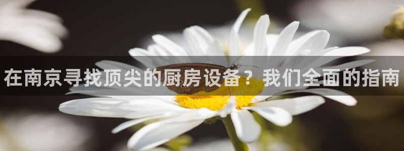 尊龙专访：在南京寻找顶尖的厨房设备？我们全面的指南