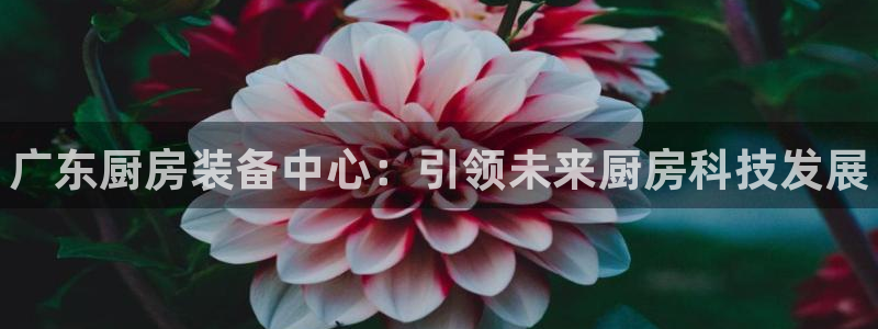 尊龙尊龙