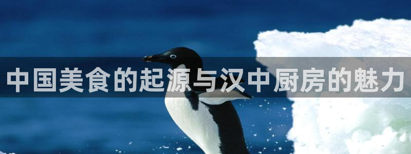 尊龙人生就是博旧版