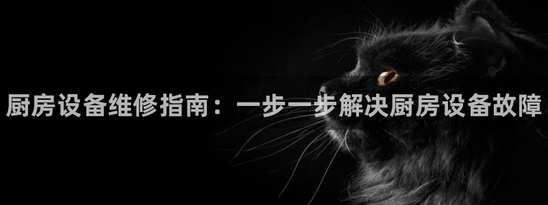 尊龙凯时新闻：厨房设备维修指南：一步一步解决厨房设备故障