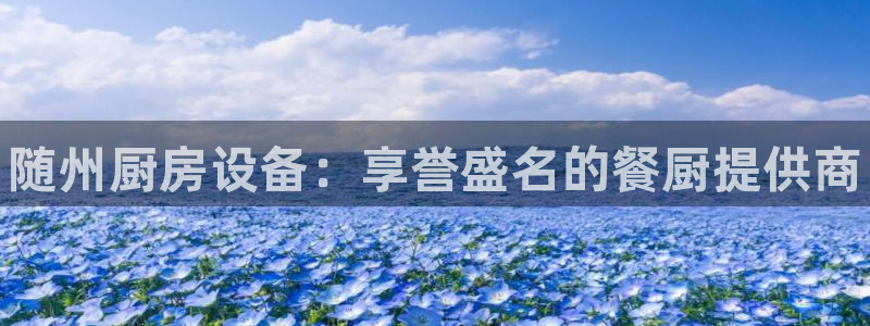 尊龙百度百科：随州厨房设