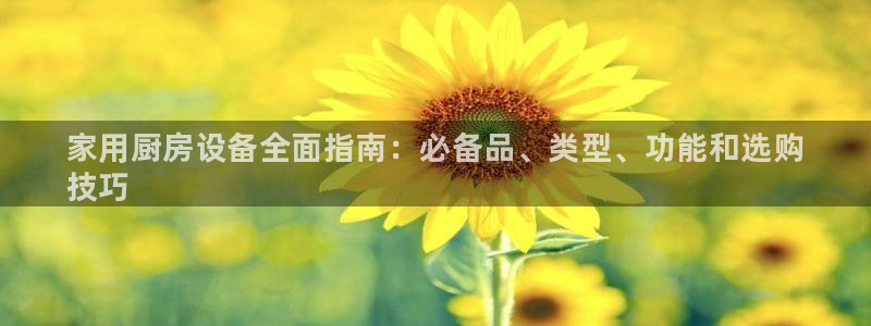 尊龙z6官网：家用厨房设