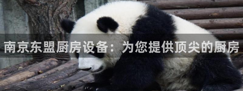 凯时k66登录：南京东盟厨房设备：为您提供顶尖的厨房