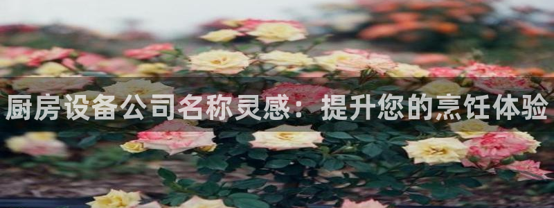 尊龙凯时干什么的：厨房设