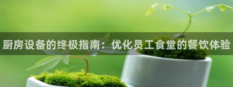 尊龙王t400：厨房设备的终极指南：优化员工食堂的餐饮体验