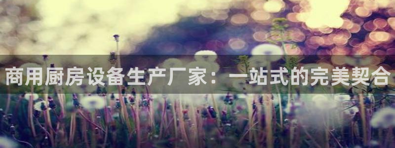 尊龙是什么软件