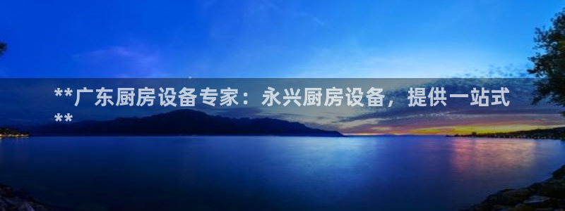 尊龙官网手：**广东厨房设备专家：永兴厨房设备，提供一站式
