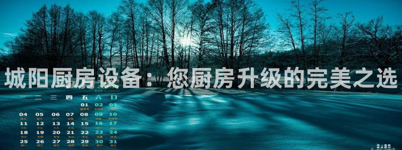 下载尊龙app：城阳厨房设备：您厨房升级的完美之选