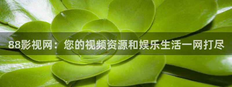 777米奇影院在线电影