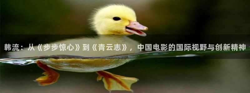 米奇影音777