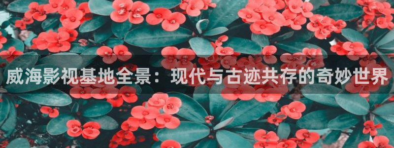 欧美777米奇影院